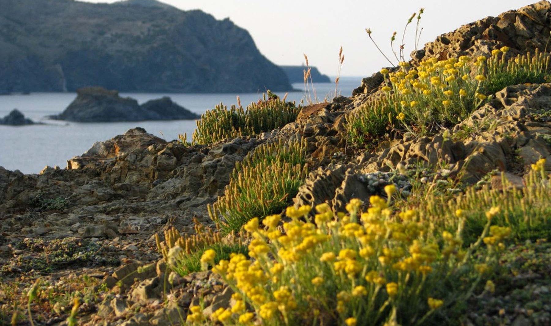 Costa Brava