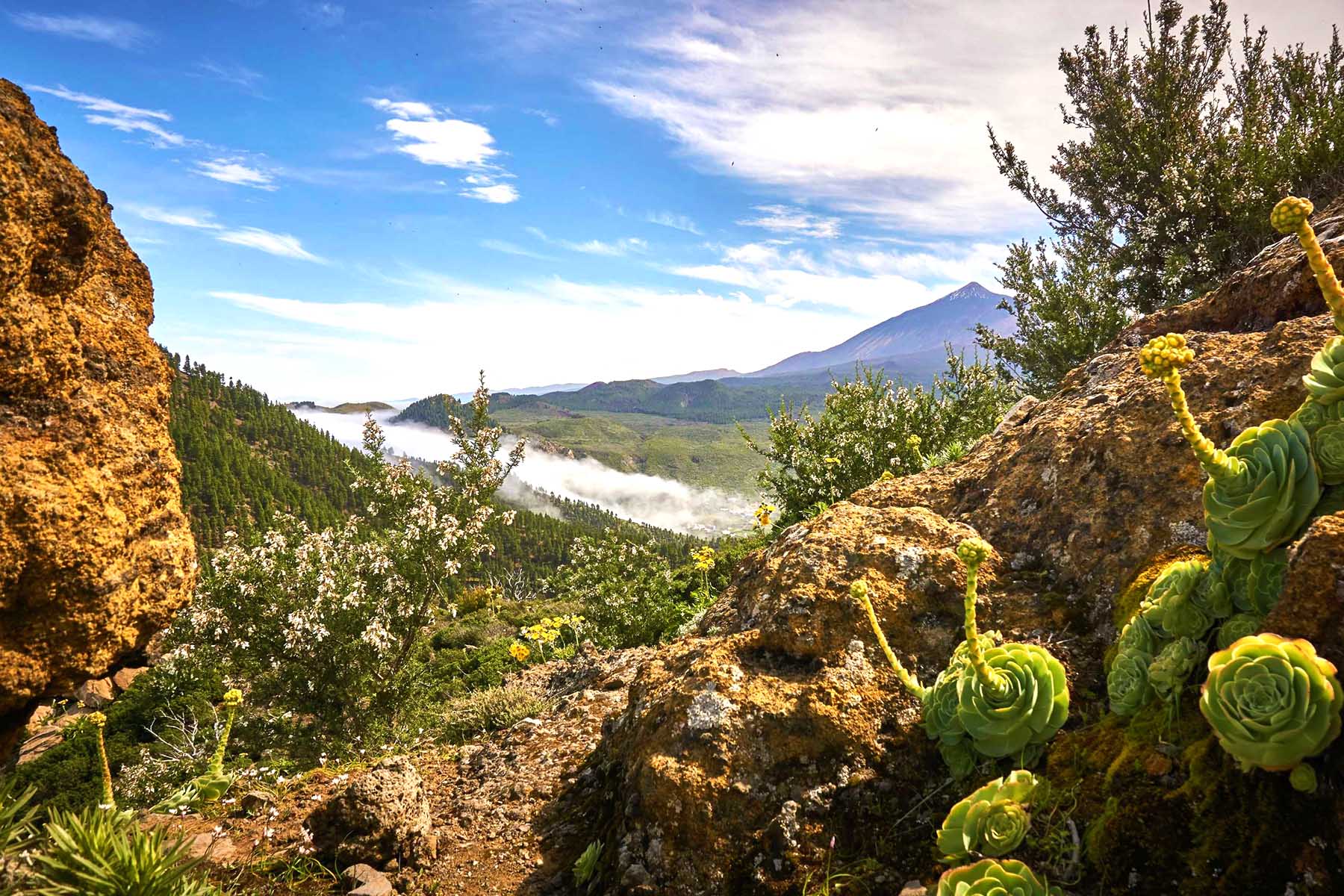 Canarias